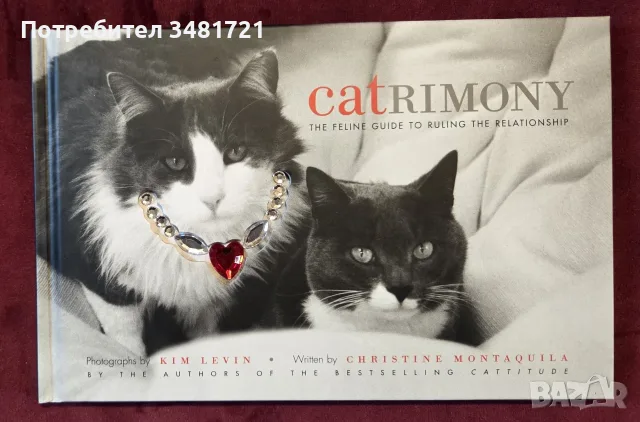 Cattitude Box Set, снимка 7 - Други - 56715704