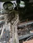 хидравлична рейка за VW polo 6n2, снимка 4