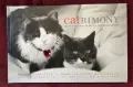 Cattitude Box Set, снимка 7