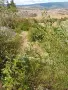 Продава се Парцел в с.Бараково, снимка 8