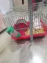 Клетка за хамстер, снимка 2
