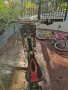 Продава се Davinci Wilson 2017 , снимка 11