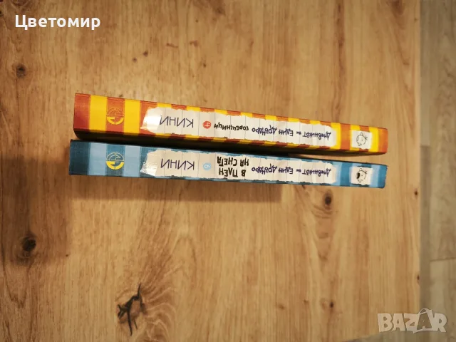 Дневникът на Един Дръндьо , снимка 3 - Детски книжки - 56638173