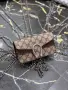 Gucci ✨Дамски Чанти , снимка 2