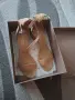 Дамски обувки Pepina, снимка 4