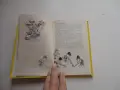 Книга Две петлета се скарали , снимка 6