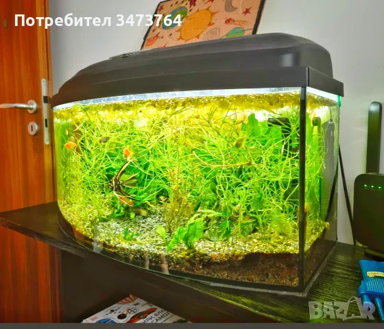 Аквариум с риби 60см и стойка