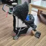 количка за куче и коте, снимка 3
