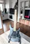 ESP LTD SN-200 Black Satin, 2012, Indonesia, снимка 1