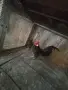 Розкомб черен и сив, снимка 2