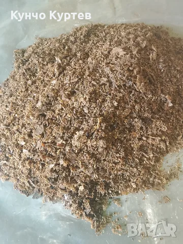 пчелен клей от мрежи, снимка 6 - Пчелни продукти - 56709315