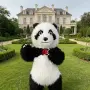 Големи маскот костюми, снимка 7