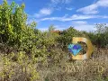 Парцел в село Целина, общ. Чирпан, снимка 5