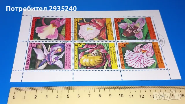 Филателия България - блокове 2, снимка 4 - Филателия - 56584424
