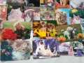 Календарчета котки , снимка 5