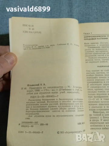 Илински - Практикум по овощарство , снимка 5 - Специализирана литература - 56584379
