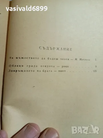 Амлински - Завръщането на брата , снимка 5 - Художествена литература - 56641823