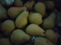 Ябълки и попски круши , снимка 4