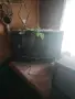продавам 3 работещи телевизора, снимка 3