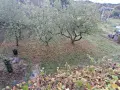 Продавам къща с.Орешак, снимка 7