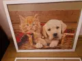 нареден пъзел- куче и коте , снимка 1