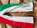 Състезателен скиекип България , снимка 5