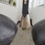 Чанове, тюмбелеци, хлопатари , снимка 2