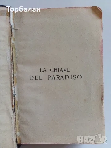 100 годишна книга, снимка 8 - Антикварни и старинни предмети - 56626496