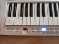 Roland AX-09 Keytar, снимка 4