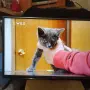 32" телевизор ЛЖ лед не е смарт, снимка 18