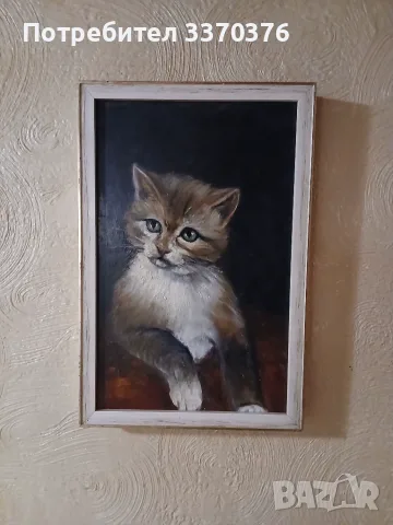 Картина за стена-Портрет на коте-маслени бои