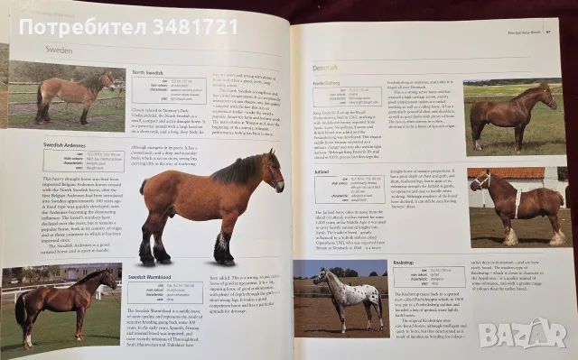 Encyclopedia of the Horse, снимка 11 - Други - 56715711