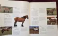 Encyclopedia of the Horse, снимка 11