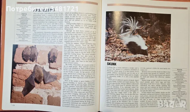 The Encyclopedia of World Wildlife, снимка 14 - Енциклопедии, справочници - 56715705