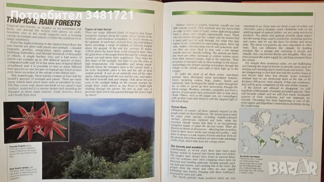 The Encyclopedia of World Wildlife, снимка 4 - Енциклопедии, справочници - 56715705