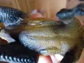 T-REX Динозавър Произведено в Германия , снимка 5