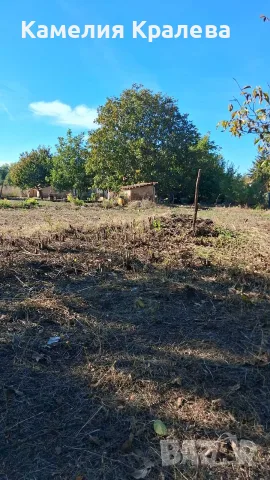 с.Селановци Продавам урегулиран парцел, снимка 5 - Парцели - 47039471