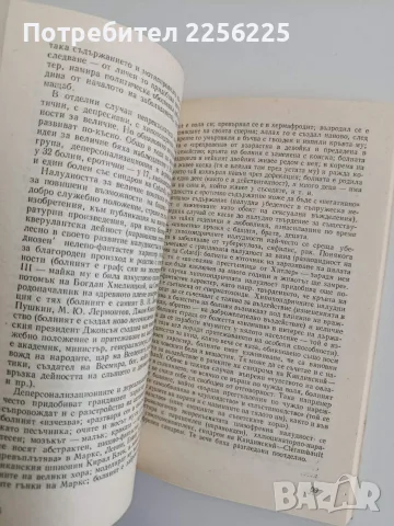 Налудност и шизофрения, снимка 3 - Специализирана литература - 56583647
