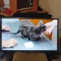 32" телевизор ЛЖ лед не е смарт, снимка 6