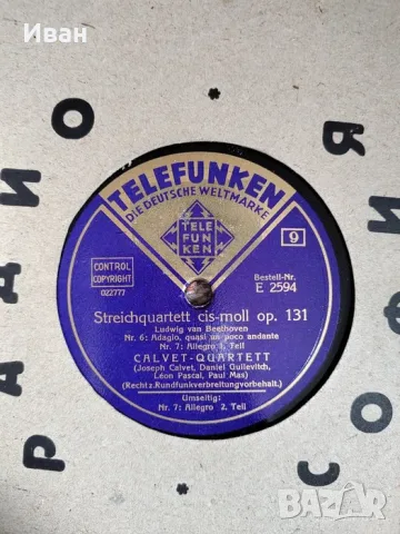 Грамофонни плочи Telefunken, снимка 3 - Грамофонни плочи - 56551990