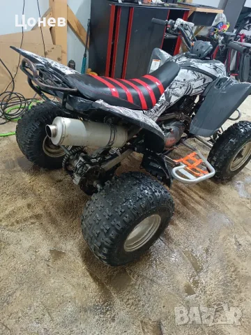 Yamaha Raptor 350 2009, снимка 7 - Мотоциклети и мототехника - 56649701