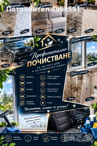 Професионално почистване 