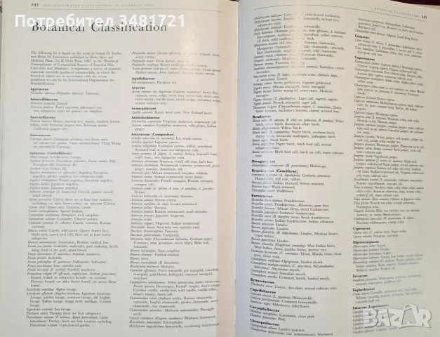 The Illustrated Encyclopedia of Essential Oils, снимка 12 - Здраве, медицина и спорт - 56715727