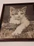 Гоблен "Коте" рамкиран, снимка 2