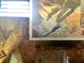 2 броя  картини , снимка 4