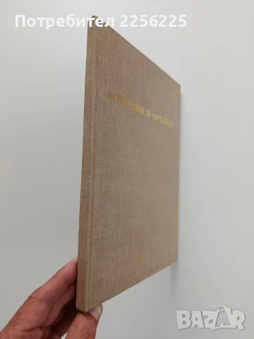 Войници и оръжия, снимка 2 - Детски книжки - 56706584